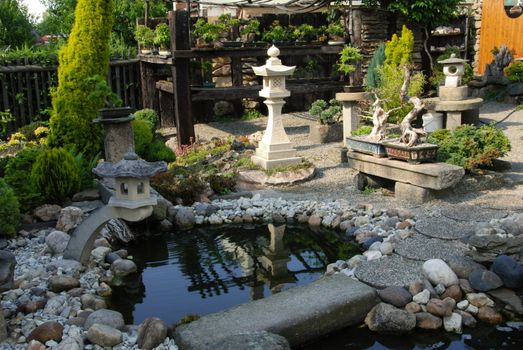 Bonsai trees still-life. Miniatures in a peaceful Japanese garden.