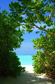 Window of tropical trees branches is showing beautiful white beach and turquoise see