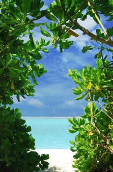 Window of tropical trees branches is showing beautiful white beach and turquoise see