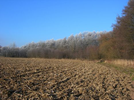           Ploughed field and forest covered with snow in winter