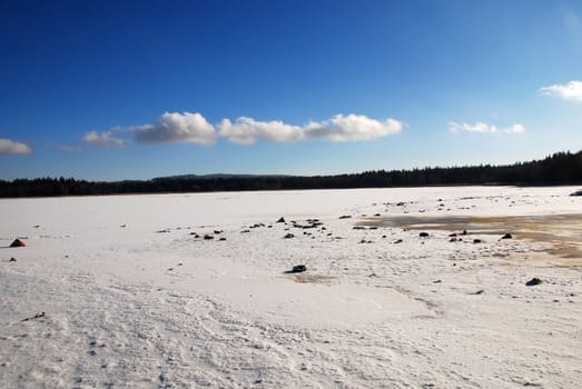 View at a frozen field and forest covered by snow