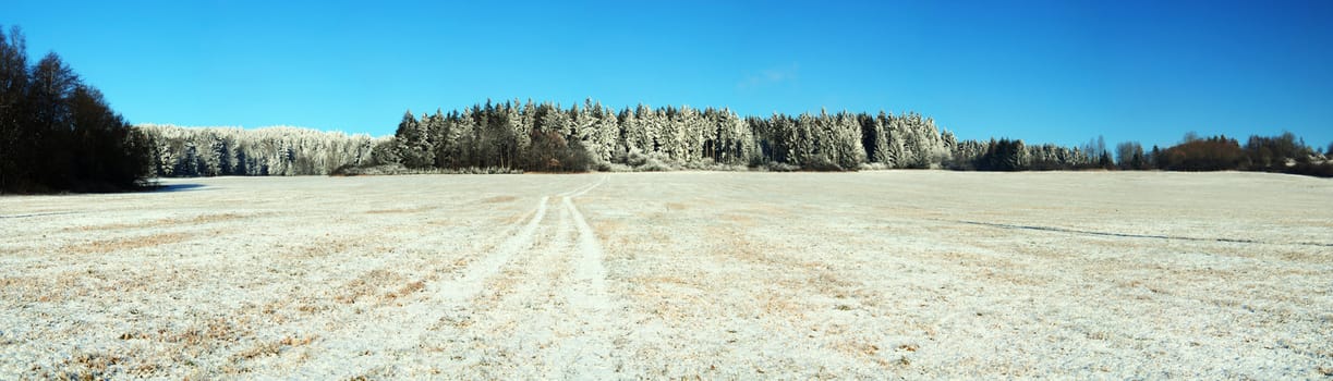 Wide panoramic photo of a frozen field and forest covered by snow