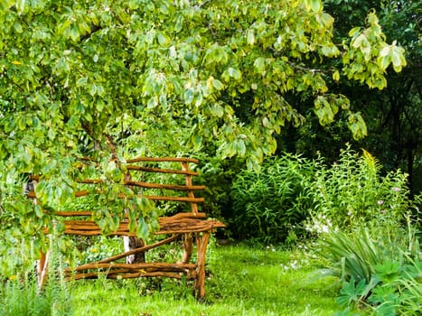 bench under an apple tree in the garden