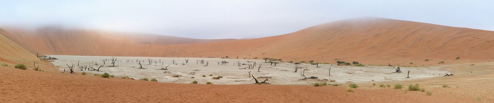 Panorama from ten photos of Deadvlei near Sossusvlei,  Namibia