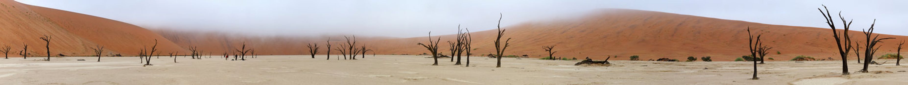 Panorama from ten photos of Deadvlei near Sossusvlei,  Namibia