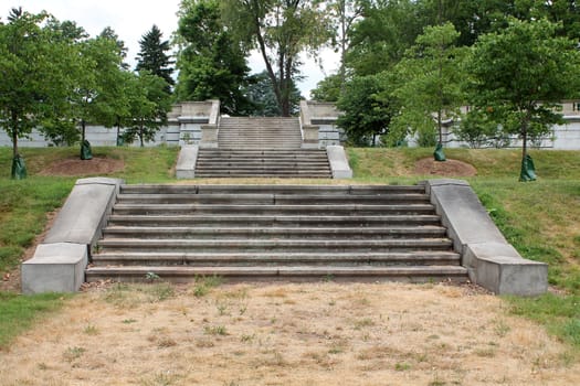 Some Stone steps with trees