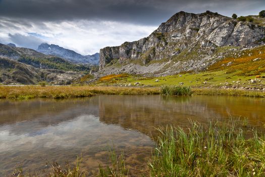 Fantastic lake Ercina, one of the famous lakes of Covadonga, Asturias ,  Spain