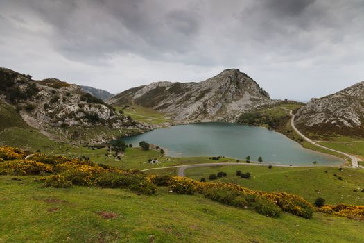 Fantastic lake Enol, one of the famous lakes of Covadonga, Asturias ,  Spain