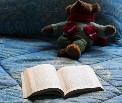 James Joyce 1917 book open on bed in chilly scene with winter teddy bear in background