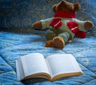 James Joyce 1917 book open on bed in chilly scene with winter teddy bear in background