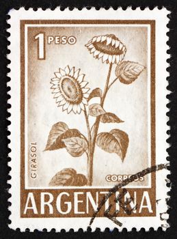 ARGENTINA - CIRCA 1970: a stamp printed in the Argentina shows Sunflower, Helianthus Annuus, Plant, circa 1970