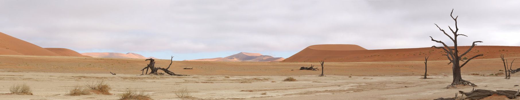 Panorama from five photos of the Deadvlei area near Sossusvlei,  Namibia