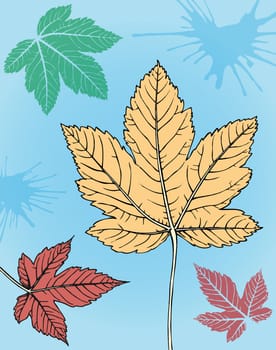 Illustration of colorful maple leaves.