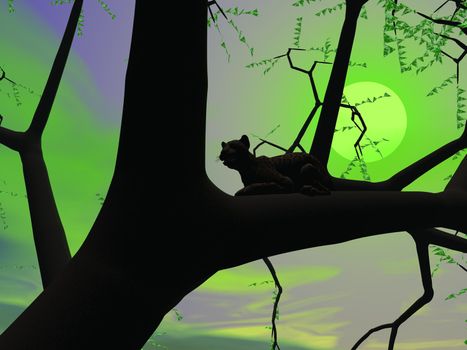 Silhouette view of panther sitting on the branch of a tree by green night with full moon