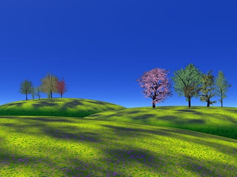 Several trees on green hills with deep blue sky