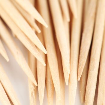 toothpick macro close up