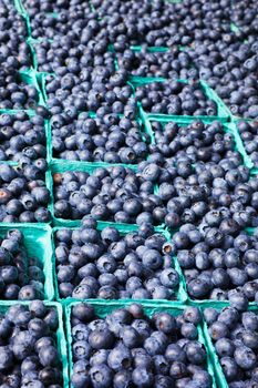 Many boxes of blueberries with soft background at the Farmers Market