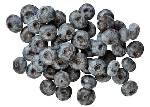 Vaccinium corymbosum fruits known as blue huckleberry. Group of berries isolated on white background.