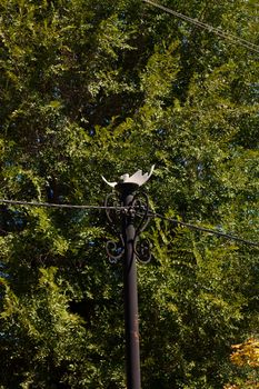 Broken white street lamp in city park