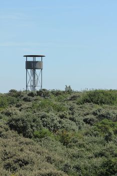 watch tower in beach dunes plants