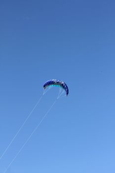 kite flying at the beach