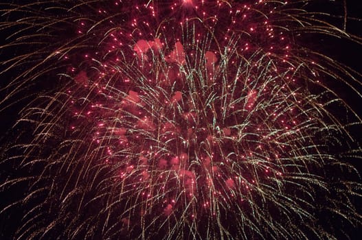 A delicate burst of fireworks in the night sky