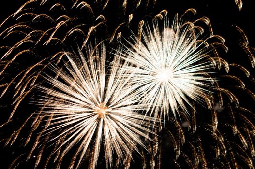 A delicate burst of fireworks in the night sky
