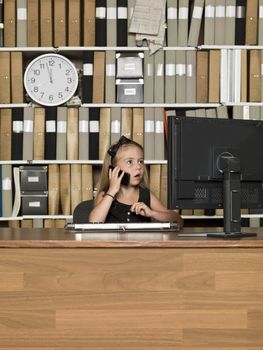 Young Buiness girl on the phone in front of a computer