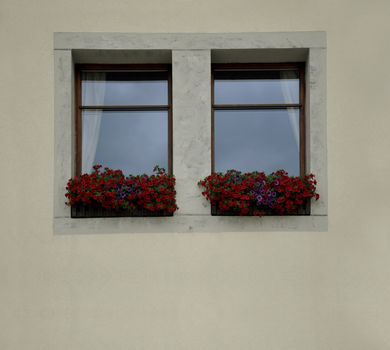 A modern window decorated with beautiful red and purple flowers in Switzerland