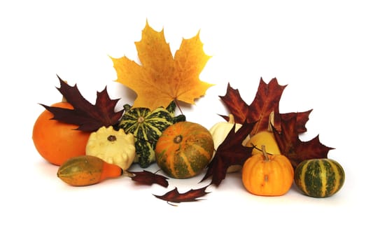 Autumn still-life with colorful pumkins and maple leaves
