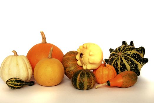 Autumn still-life with colorful pumkins and maple leaves