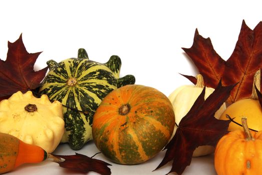 Autumn still-life with colorful pumkins and maple leaves