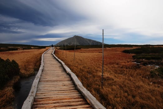 Path in the Krkonose Mountains, Czech Republic