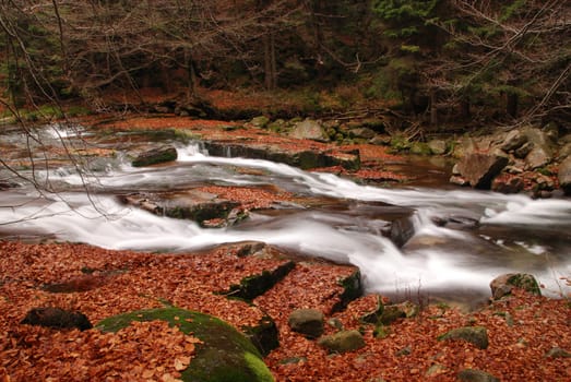           Cold and crystal clear wild brook full of boulders in the mountains