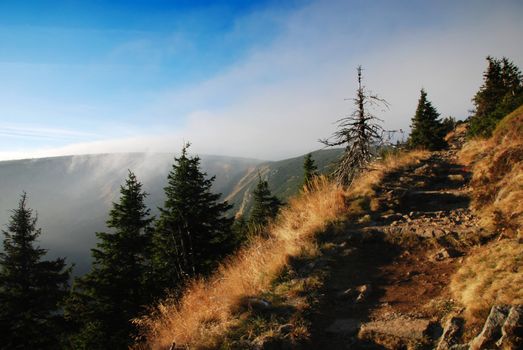 Path in the Krkonose Mountains, Czech Republic