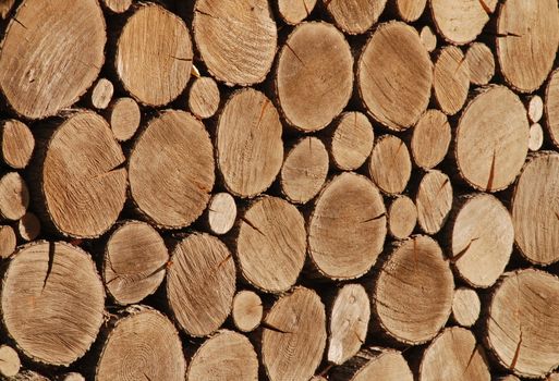 Many chopped wooden logs on a heap natural background