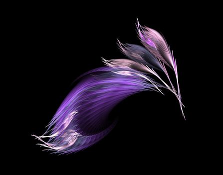 violet feathers to the infinity - fractal graphics