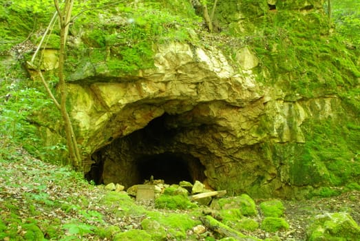 Green cave covered by fern and moss in the forest