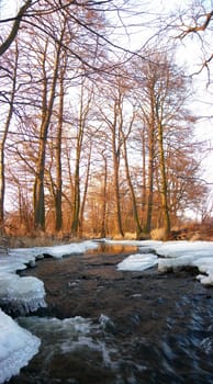 Flowing water in a brook is covered by clear ice