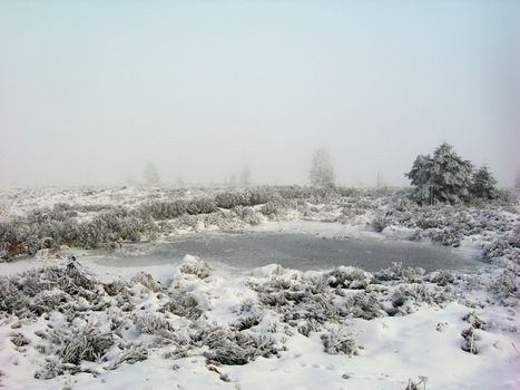 Beautiful winter landscape with trees covered by snow and frost