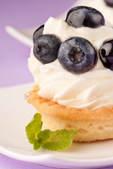 Fresh fruit tart 