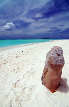 Beautiful Caribbean tropical beach with white sand and a stump