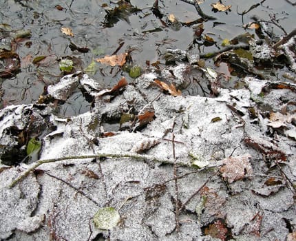 Ground with mixture of leaves, mud and snow - background symbolises winter season