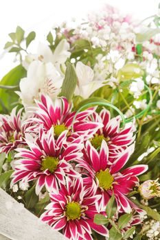 bouquet of colorful flowers 