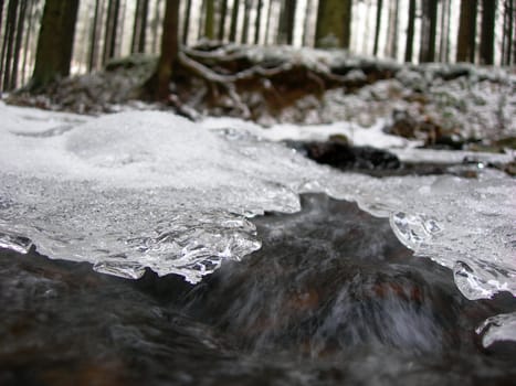         Swift brook is covered by ice in the winter      