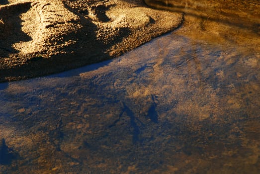 Still and transparent water of a brook with a beach