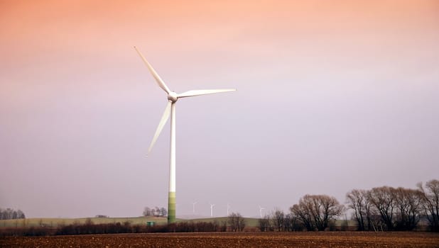 Wind turbines in movement during the sunset in the fields