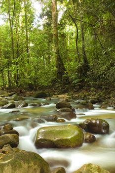 natural green waterfall