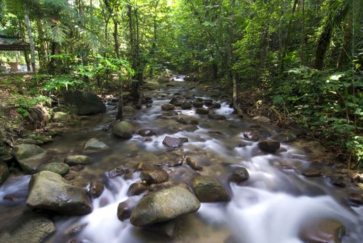 natural green waterfall