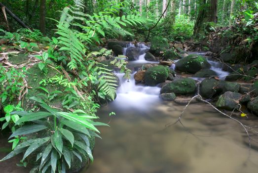 natural green waterfall